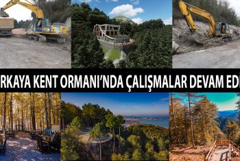 ASARKAYA KENT ORMANI’NDA ÇALIŞMALAR DEVAM EDİYOR – 860
