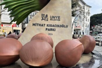 MITHAT-KISACIKOGLU-PARKINA-FINDIK-FIGURLU-YENILEME-1-700×470