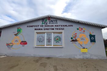 ÜNYE BELEDİYESİ’NDEN SOKAK HAYVANLARINA YENİ BARINAKLAR (1)