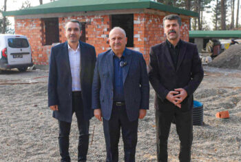 ÜNYE’DE SOKAK HAYVANLARI DOĞAL YAŞAM ALANI’NDA SONA DOĞRU (1)