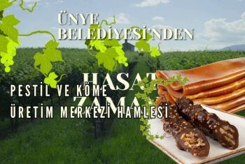 Yeşil Doğal Üzüm Hasadı ve Mevsimler Tanıtım Video (808 x