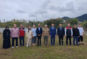 ÜNYE’DE ARONYA MEYVESİNDE İLK HASAT GERÇEKLEŞTİRİLDİ (1)
